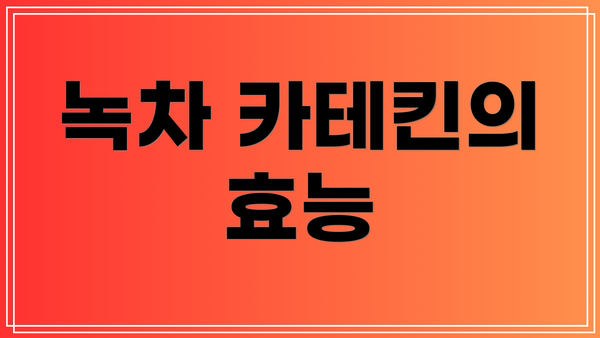 녹차 카테킨의 효능
