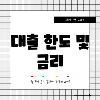 대출 한도 및 금리