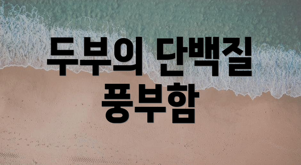 두부의 단백질 풍부함