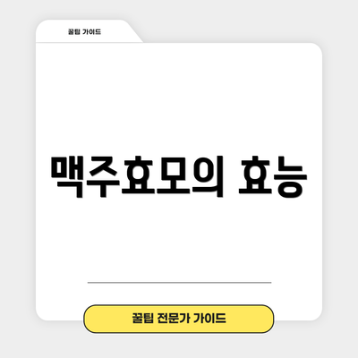 맥주효모의 효능