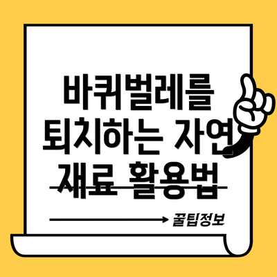 바퀴벌레를 퇴치하는 자연 재료 활용법