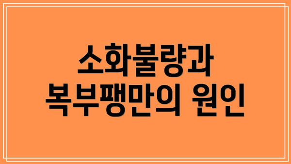 소화불량과 복부팽만의 원인