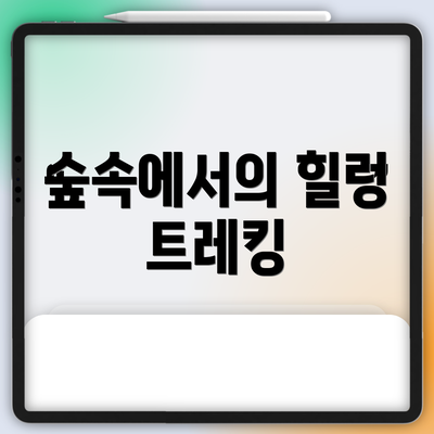 숲속에서의 힐링 트레킹