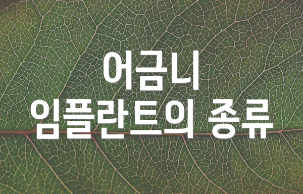 어금니 임플란트의 종류