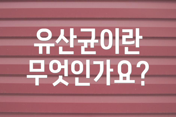 유산균이란 무엇인가요?