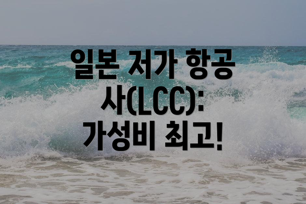 일본 저가 항공사(LCC): 가성비 최고!