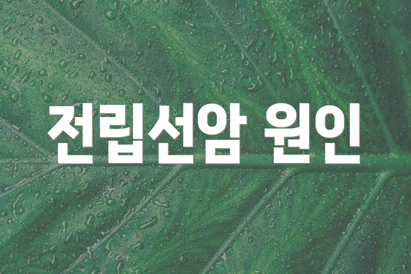 전립선암 원인