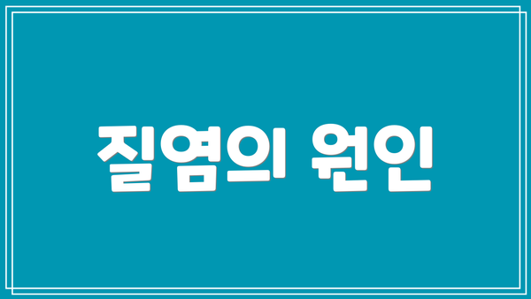 질염의 원인