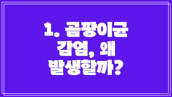 1. 곰팡이균 감염, 왜 발생할까?