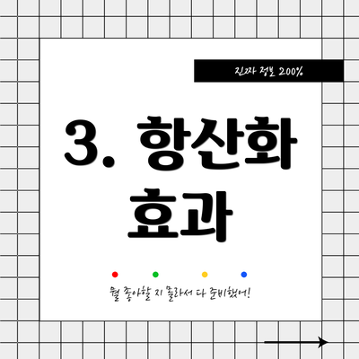 3. 항산화 효과
