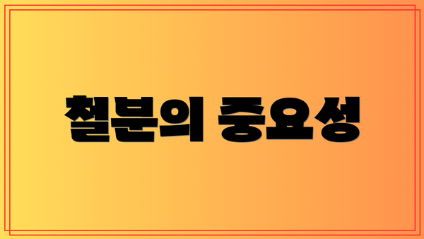 철분의 중요성