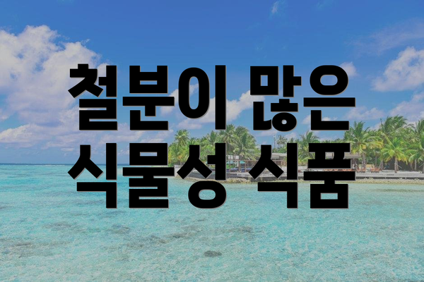 철분이 많은 식물성 식품