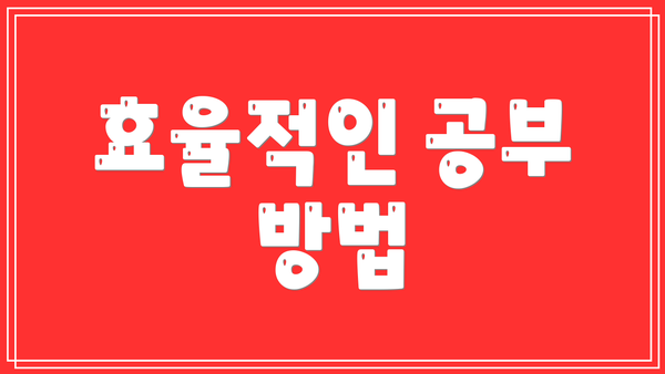 효율적인 공부 방법