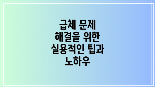 급체 문제 해결을 위한 실용적인 팁과 노하우