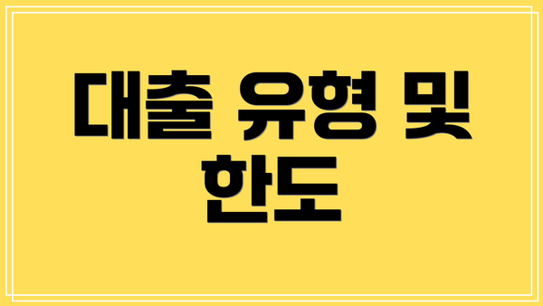 대출 유형 및 한도