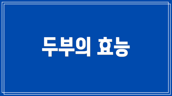 두부의 효능