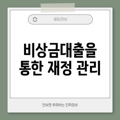 비상금대출을 통한 재정 관리
