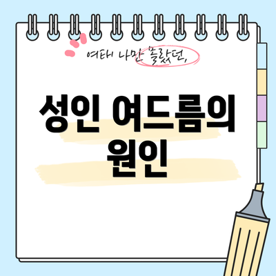 성인 여드름의 원인