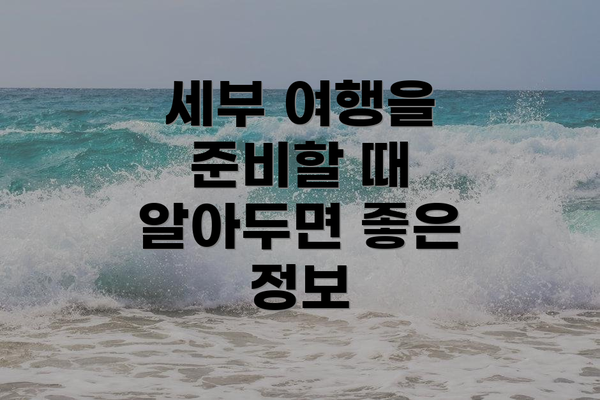 세부 여행을 준비할 때 알아두면 좋은 정보