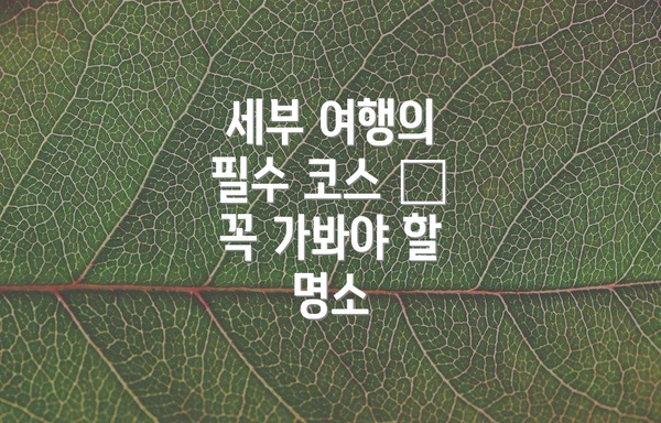 세부 여행의 필수 코스 – 꼭 가봐야 할 명소
