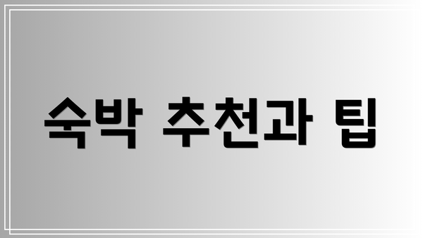 숙박 추천과 팁
