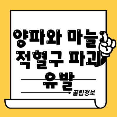 양파와 마늘: 적혈구 파괴 유발