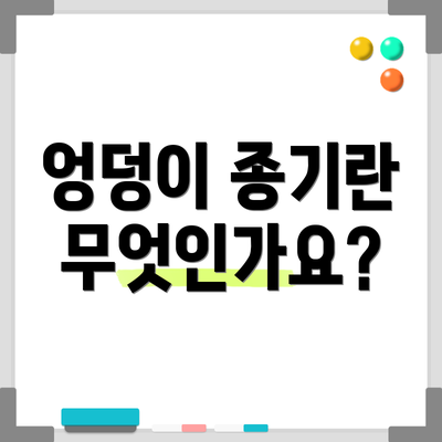 엉덩이 종기란 무엇인가요?