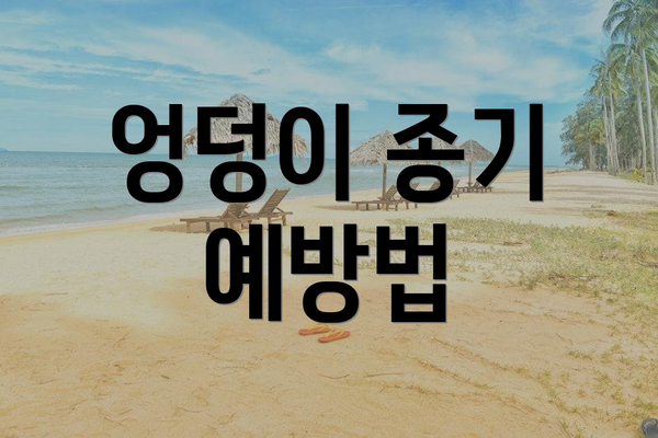 엉덩이 종기 예방법