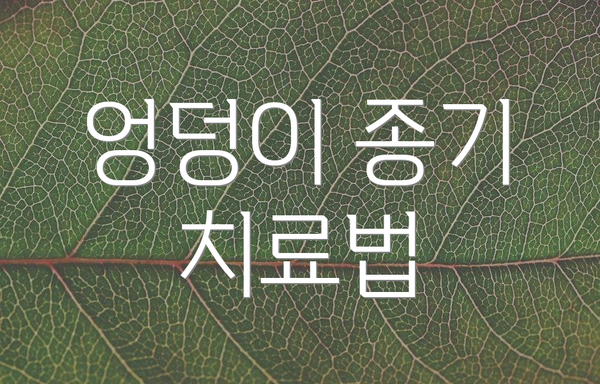 엉덩이 종기 치료법