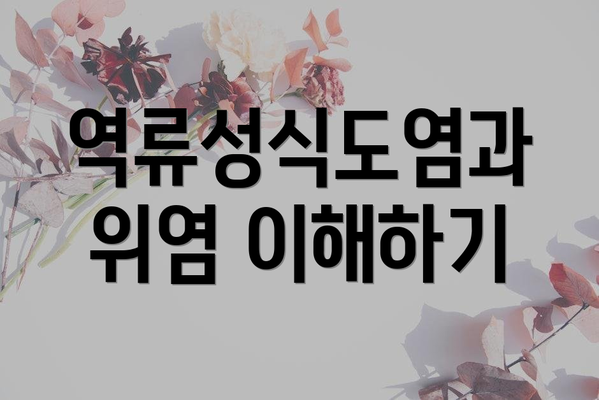 역류성식도염과 위염 이해하기