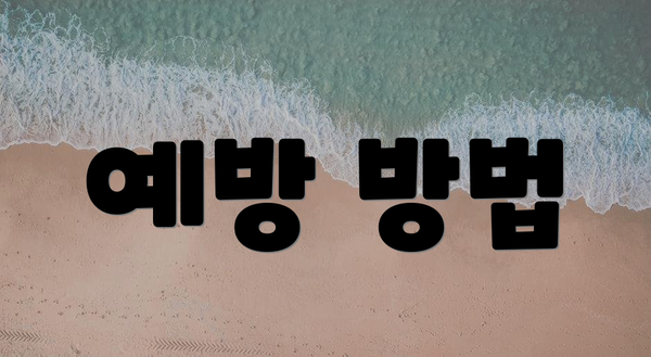 예방 방법