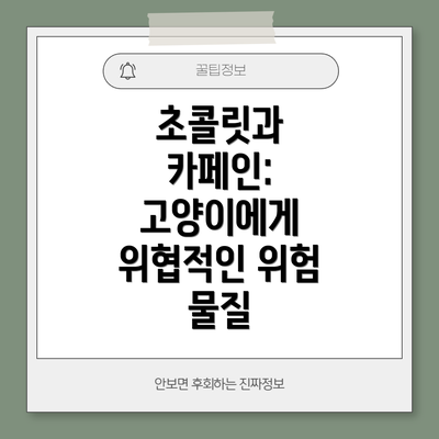 초콜릿과 카페인: 고양이에게 위협적인 위험 물질