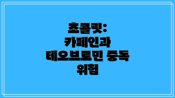 초콜릿: 카페인과 테오브로민 중독 위험