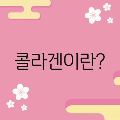 콜라겐이란?