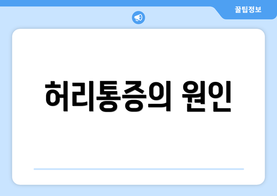 허리통증의 원인