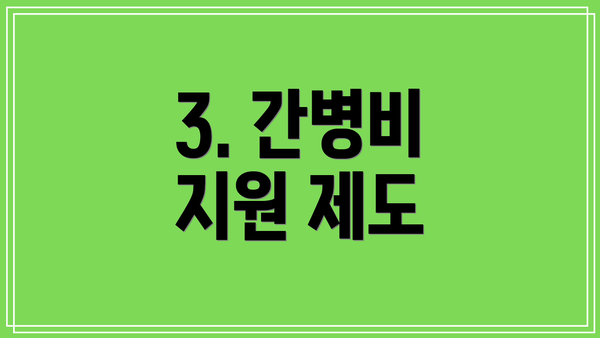 3. 간병비 지원 제도