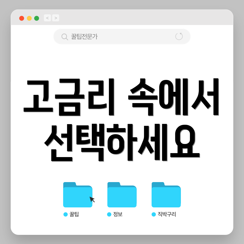 고금리 속에서 선택하세요