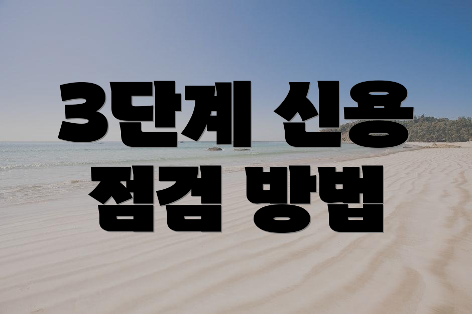 3단계 신용 점검 방법