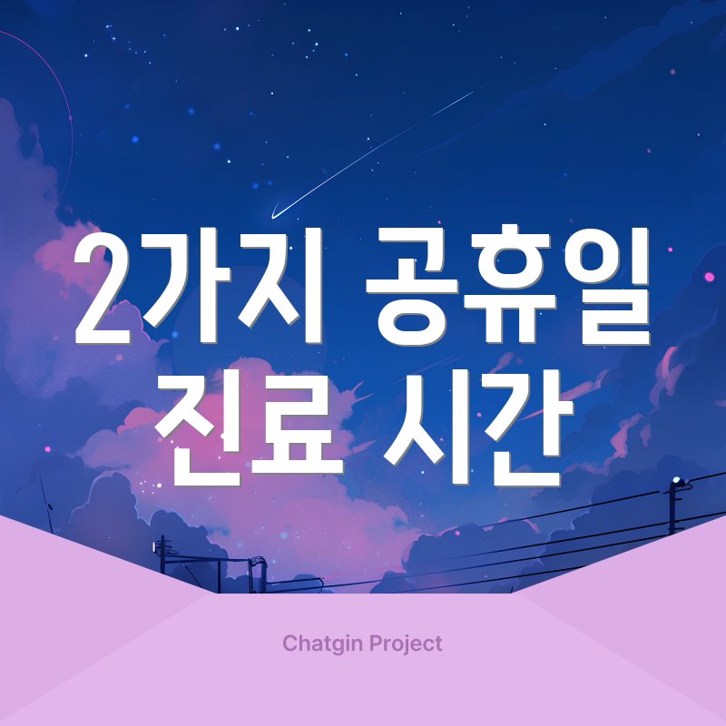 2가지 공휴일 진료 시간