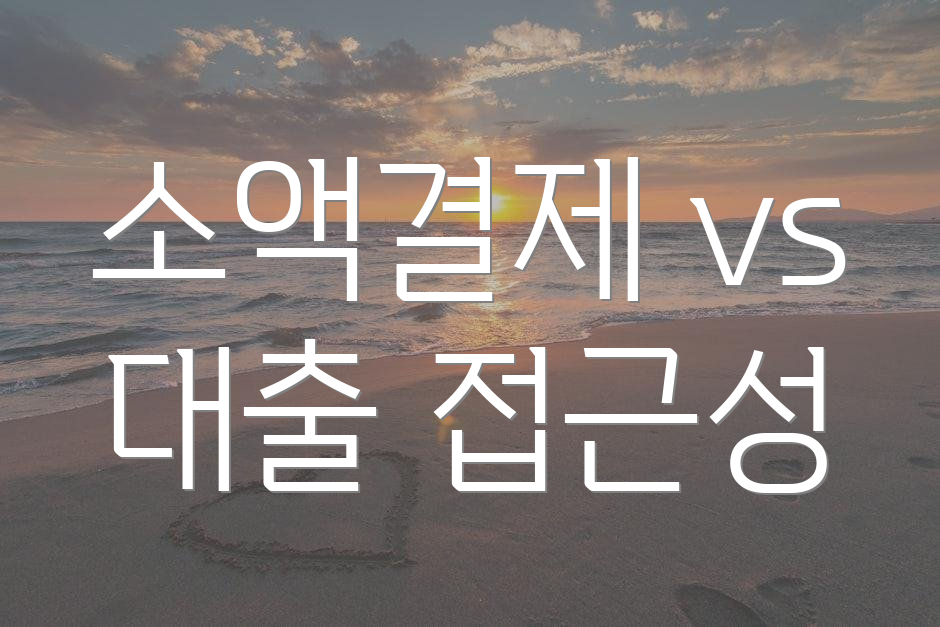 소액결제 vs 대출 접근성