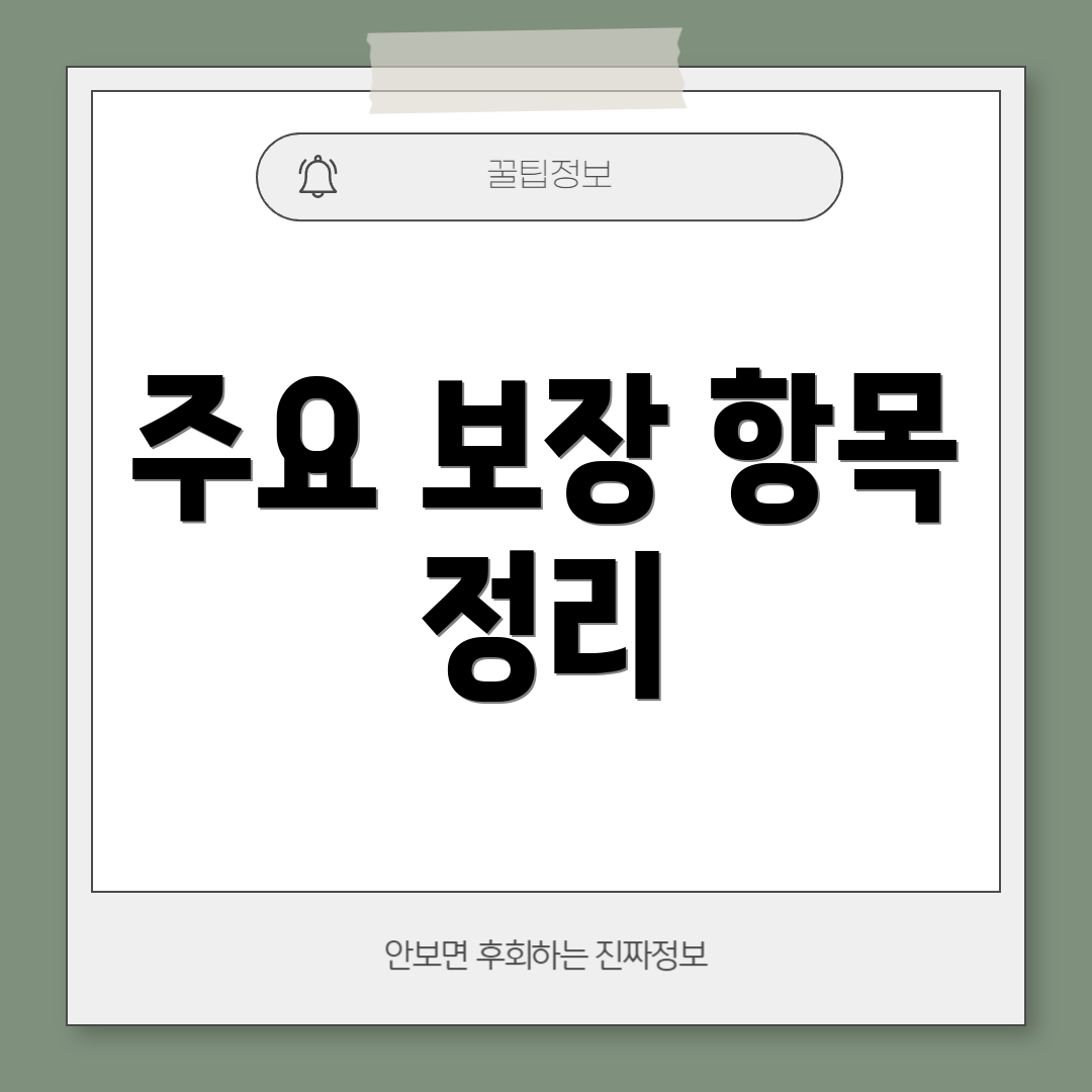 주요 보장 항목 정리