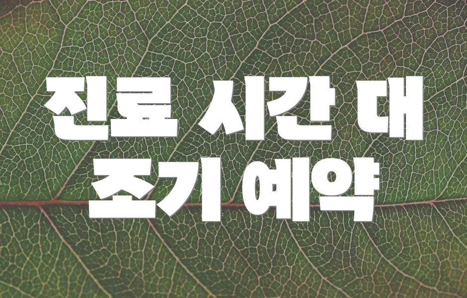 진료 시간 대 조기 예약