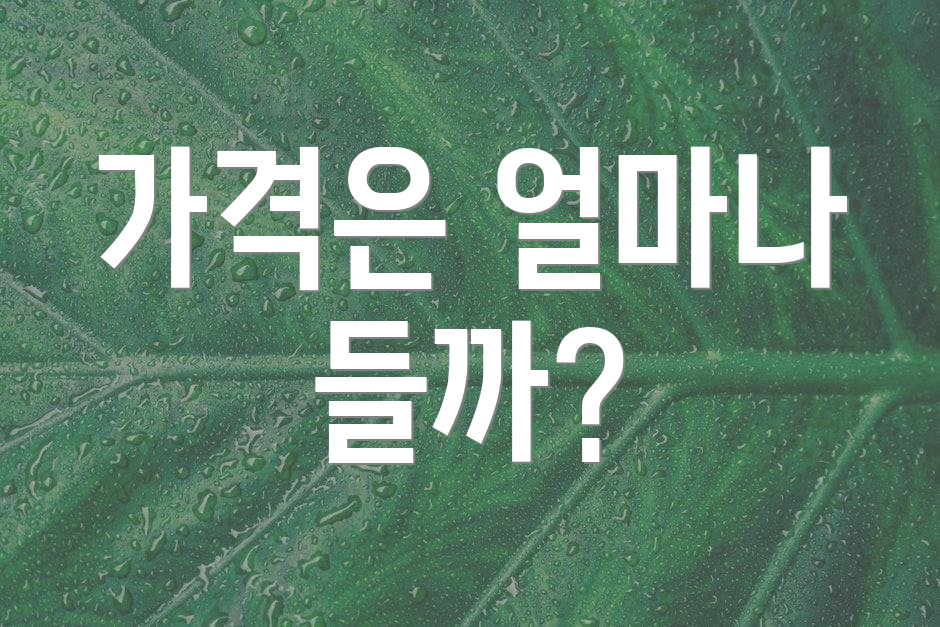 가격은 얼마나 들까?