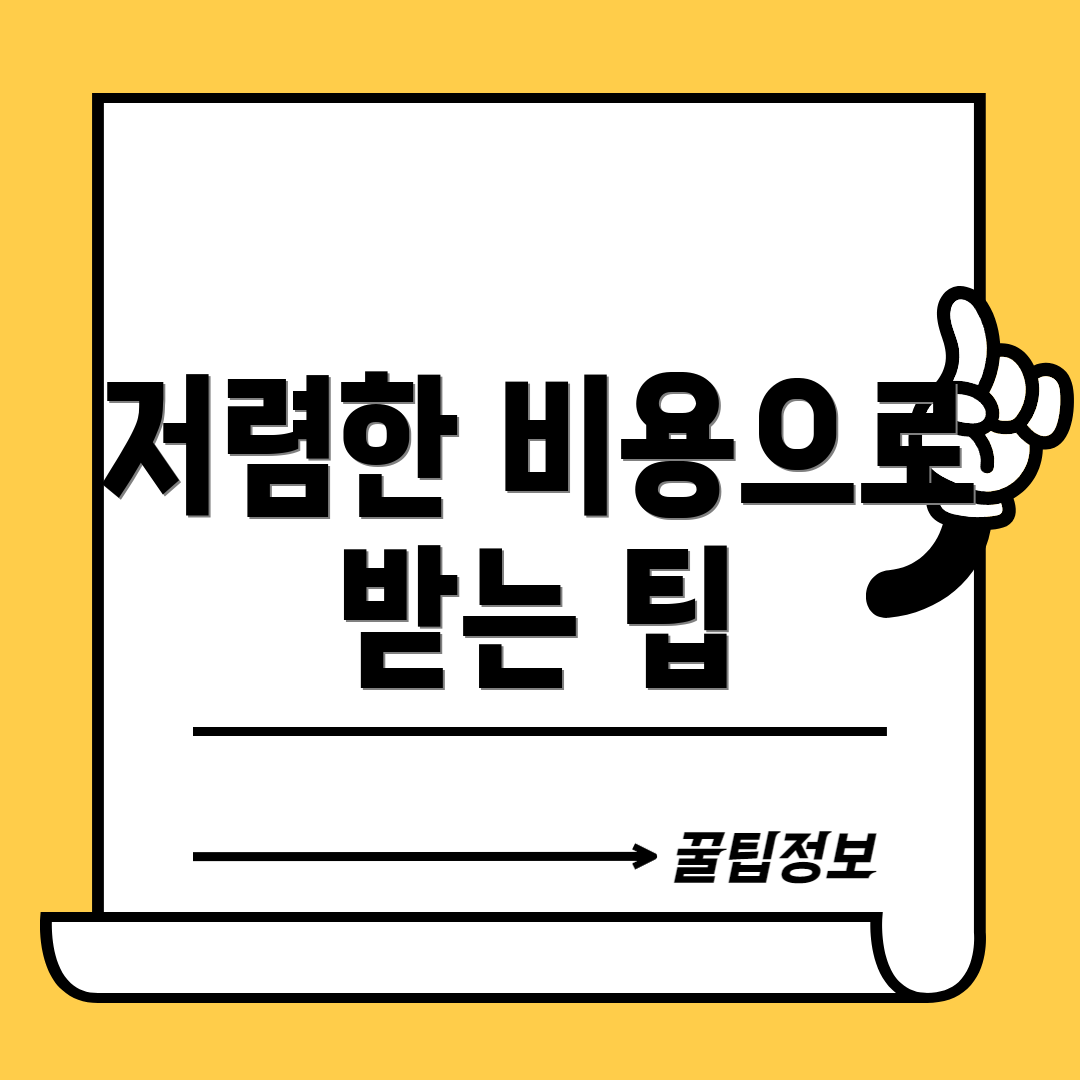 저렴한 비용으로 받는 팁