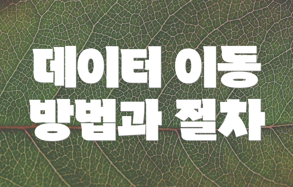 데이터 이동 방법과 절차