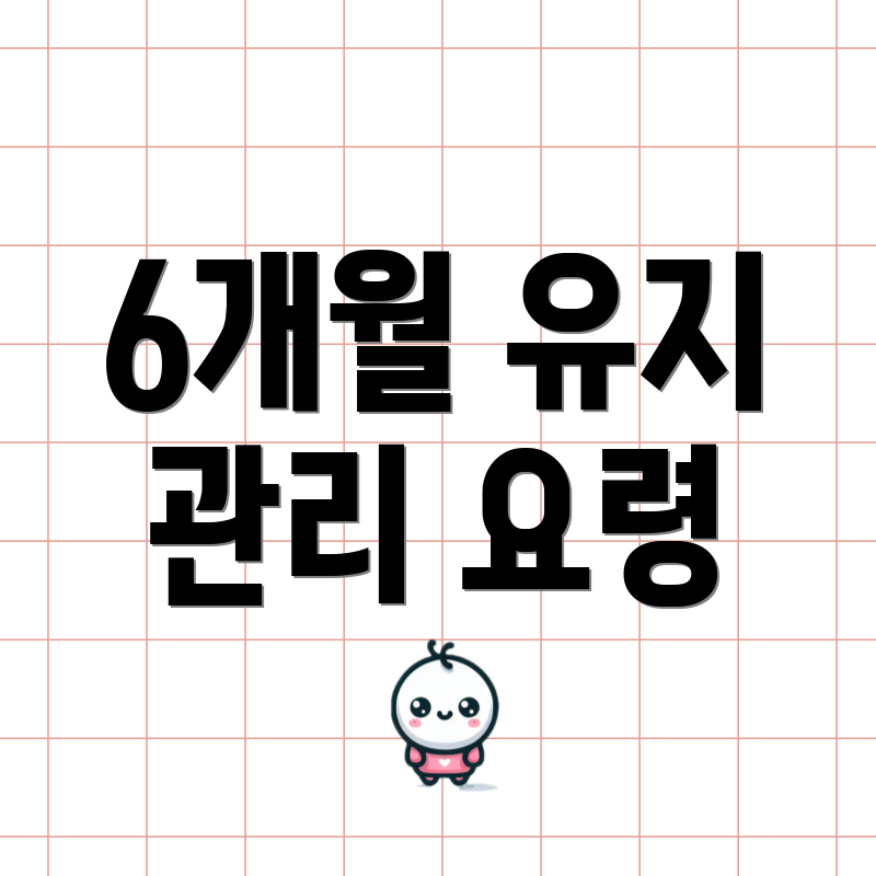 6개월 유지 관리 요령