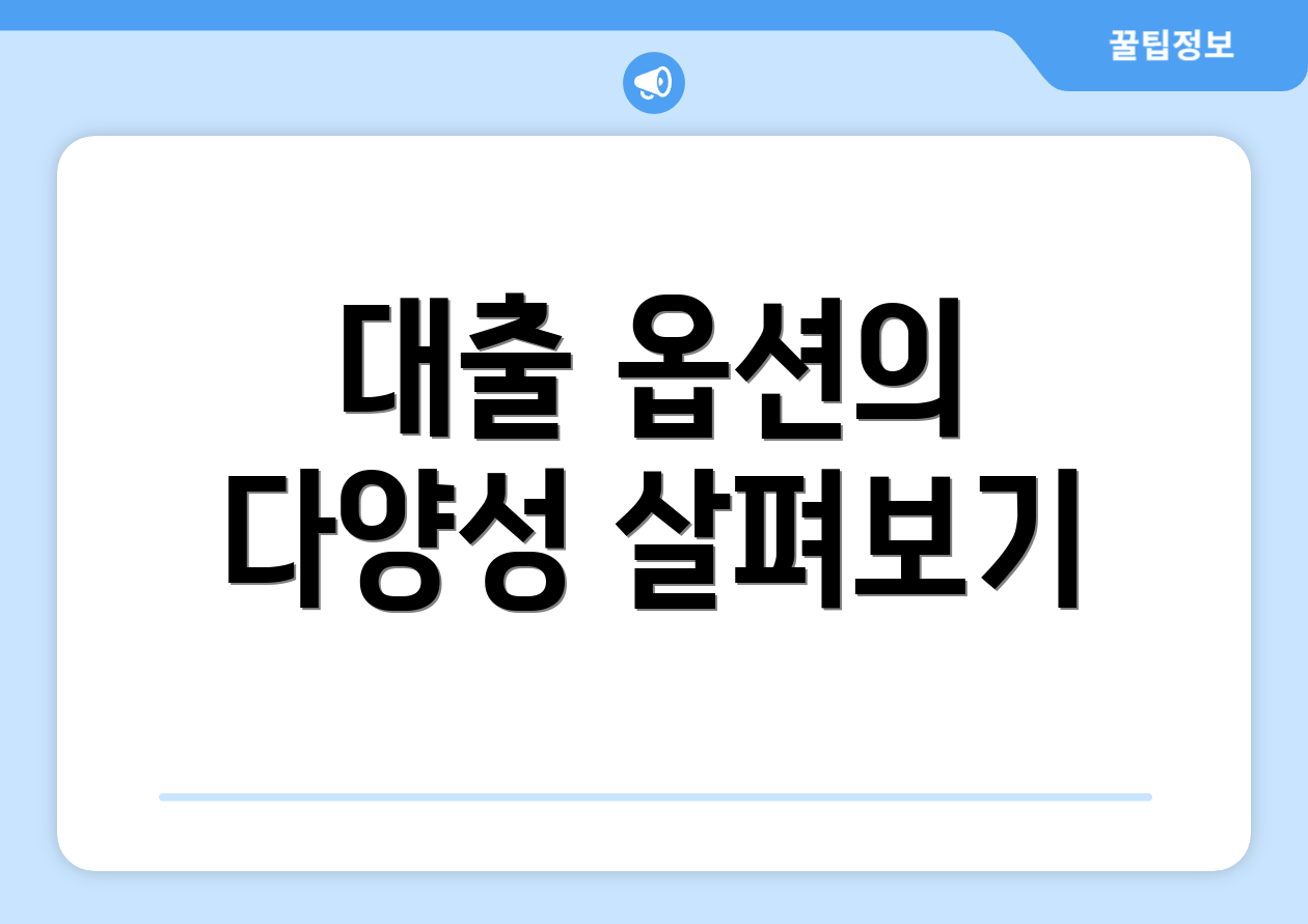 대출 옵션의 다양성 살펴보기