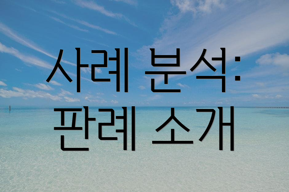 사례 분석: 판례 소개