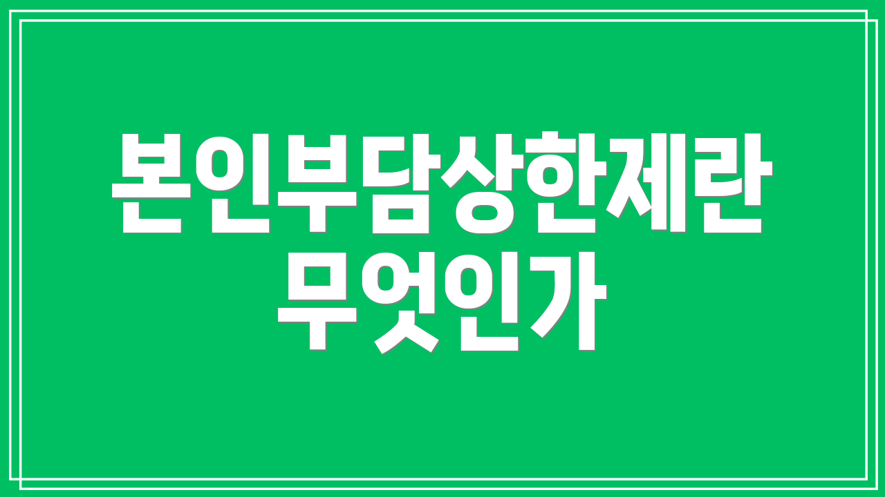 본인부담상한제란 무엇인가