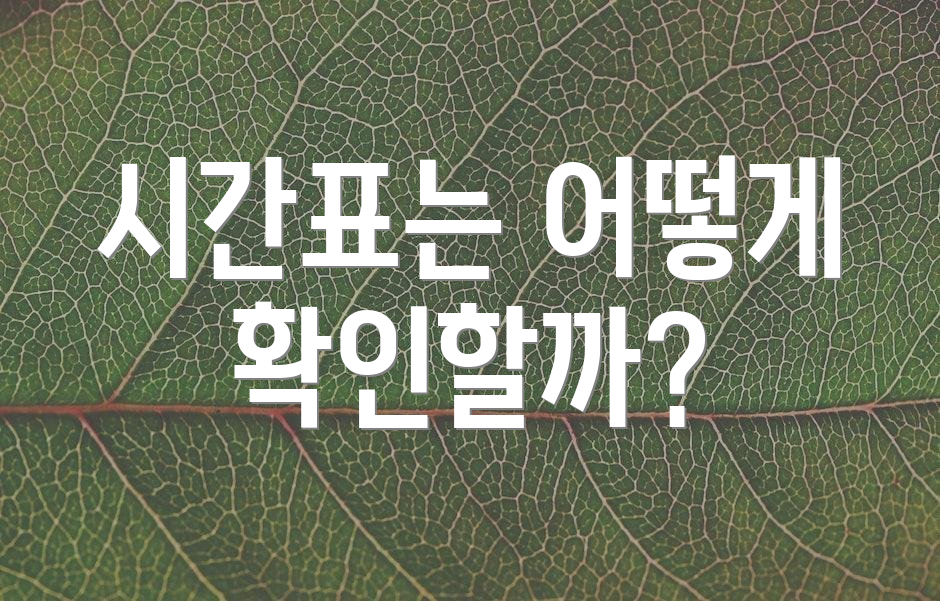 시간표는 어떻게 확인할까?